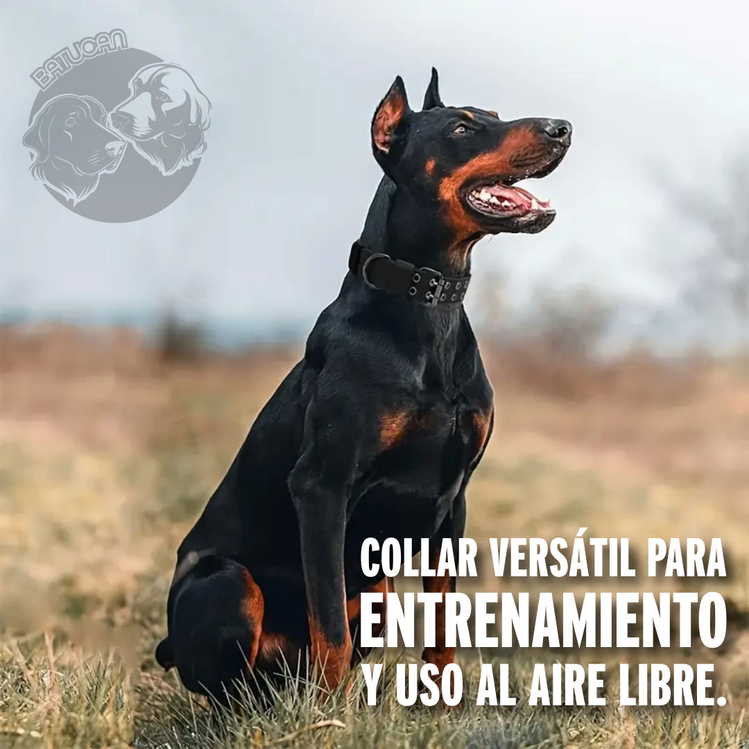 Producto Seguridad 1